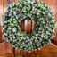 Natural Green Pennygum Wreath