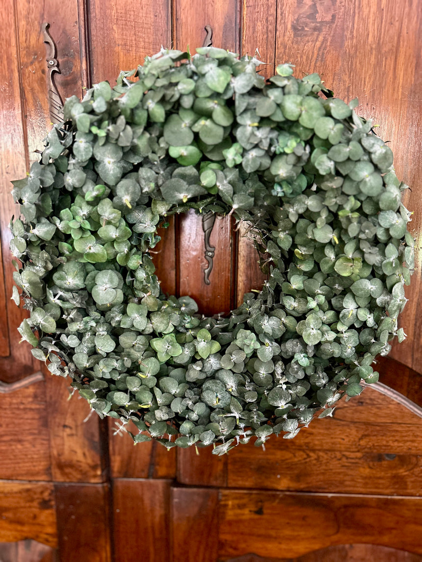 Natural Green Pennygum Wreath