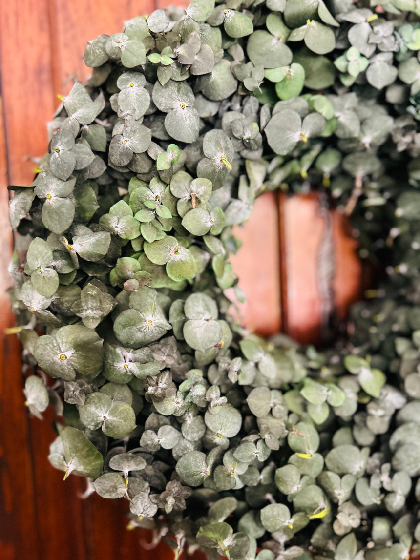 Natural Green Pennygum Wreath