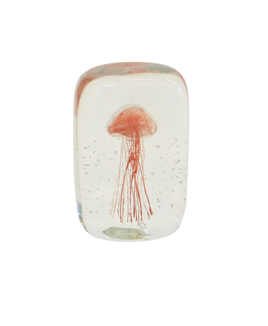 Jellyfish Paperweight