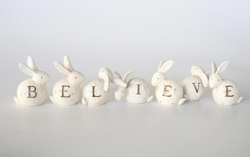 Believe Rabbits